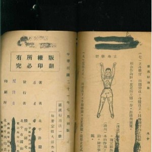 武术《三皇炮捶——北京镖局拳术功法》分享