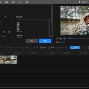 AceThinker Video Editor 专业视频剪辑软件限免版本
