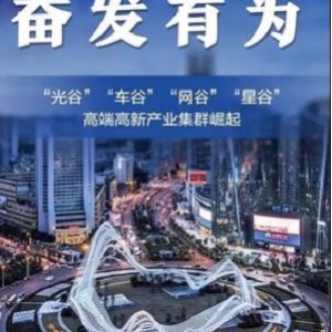 《孔雀都市：中国文化与社会的发展》，阿里云链接观看